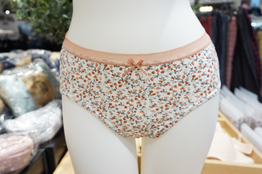 Annie Body Cotton Full Brief 3SET ANPD17W0514 Qual