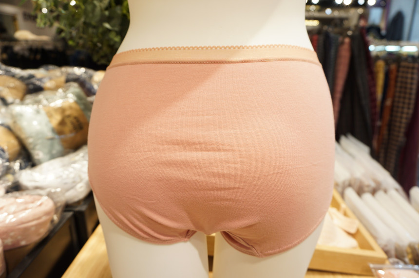 Annie Body Cotton Full Brief 3SET ANPD17W0514 Qual