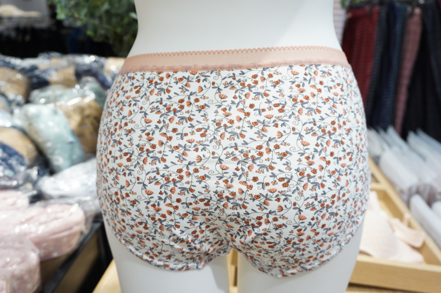 Annie Body Cotton Full Brief 3SET ANPD17W0514 Qual