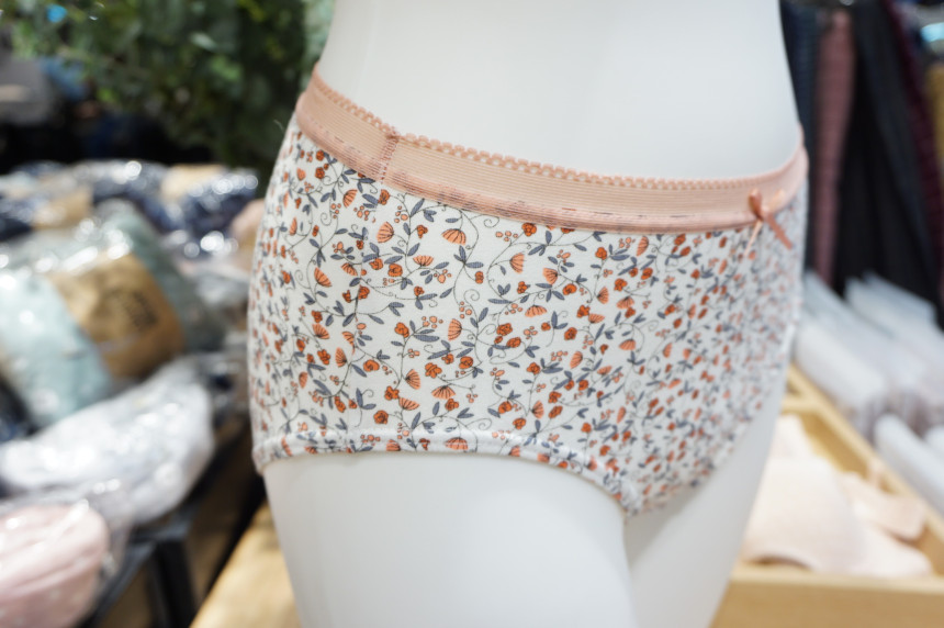 Annie Body Cotton Full Brief 3SET ANPD17W0514 Qual