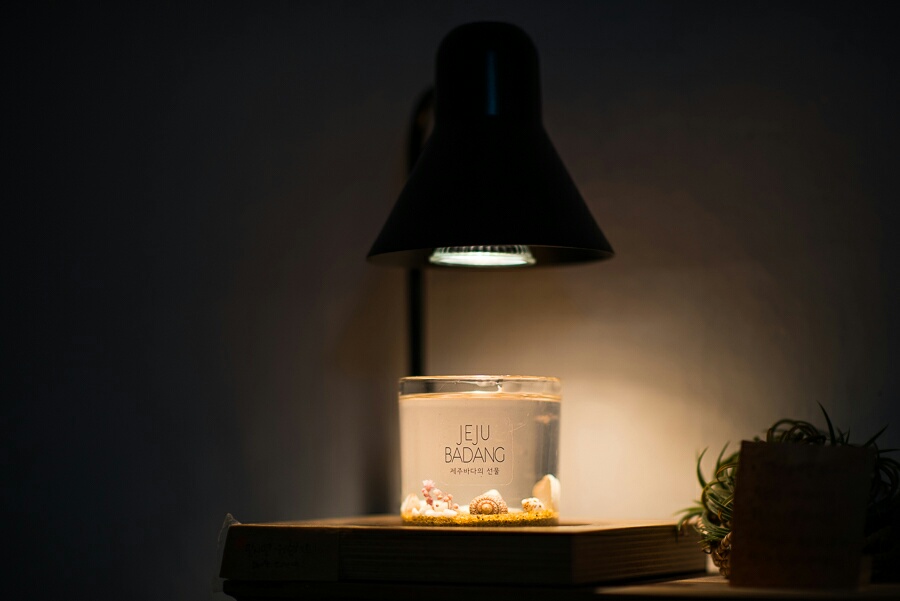 JEJU BADANG Candle 7 oz JEJUBADANG da original sou