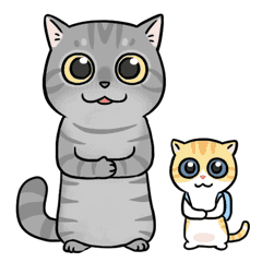 Low-molecular fish collagen powder fish powder fis