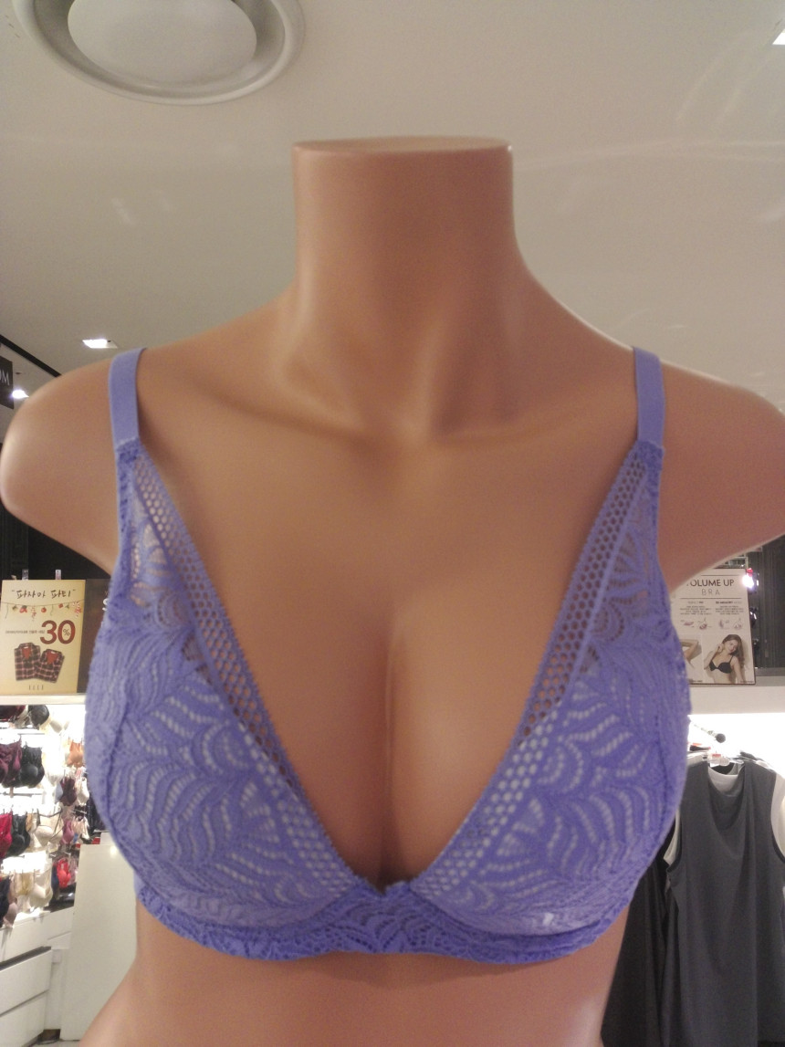 Ele Innerware Violet Deep Vnoyear Bra EWB0048