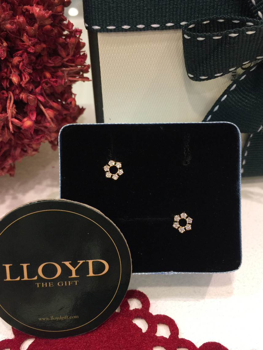 <b><p>Lloyd Mini Snow Flake earrg ECPF2015 Girl</p></b><b><p>ロイド ミニ雪花 イヤリング ECPF2015 少女ルック 10代の女性 デイリーコーディネート</p></b><br /><br /><p align='center'>