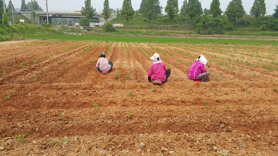 <b><p>Laras Fm Baked tofu, mium Choose 7 Korean</p></b><b><p>ララパーム 焼き豆腐、 中 選択 7 Korean大豆100％ ピクミセット 鶏の胸肉</p></b><br /><br /><p align='center'>