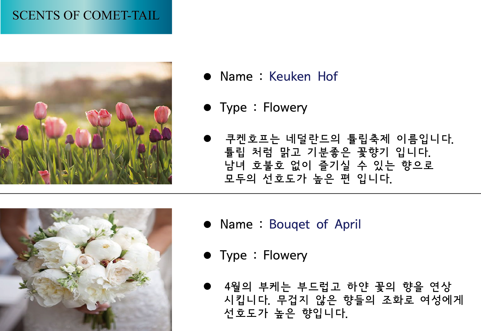 3 Onsen return Candle-flavored Northern European-s