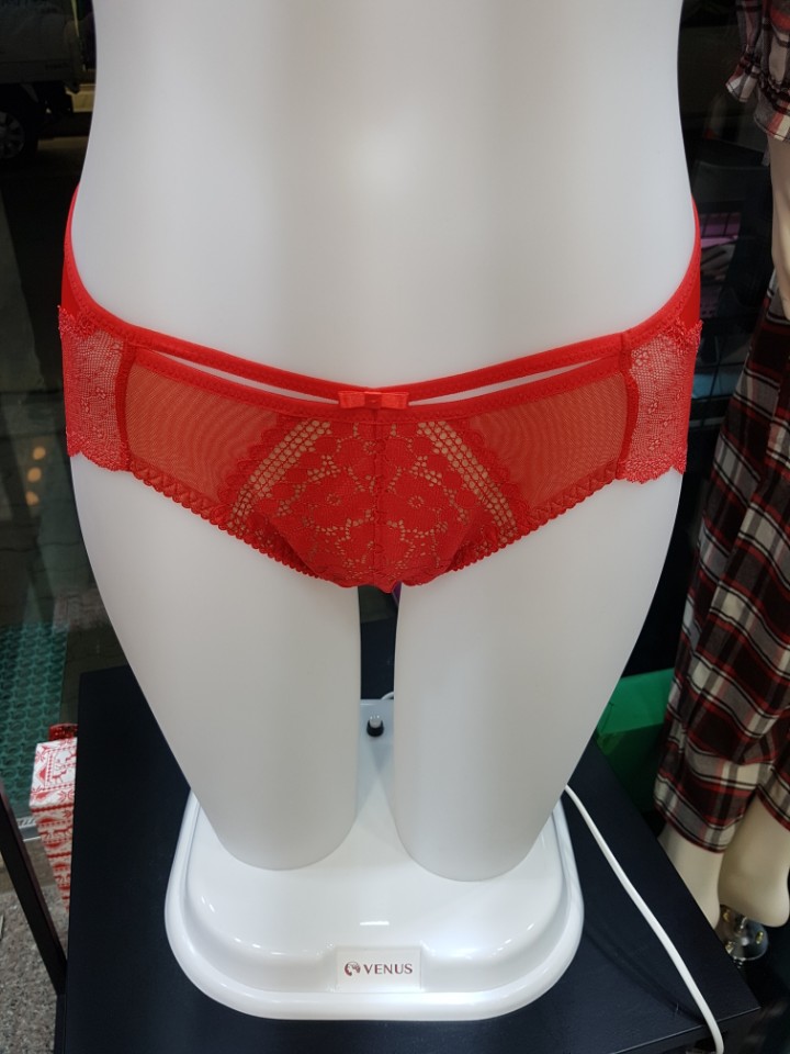 Sexy Couple Panties for Christmas in Solvé ~ Just 