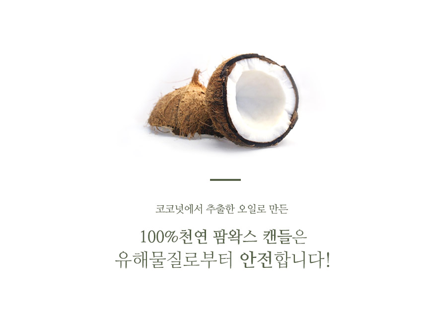 Anthurium Candle Natural Coconut Raw Yankee N3-CA0