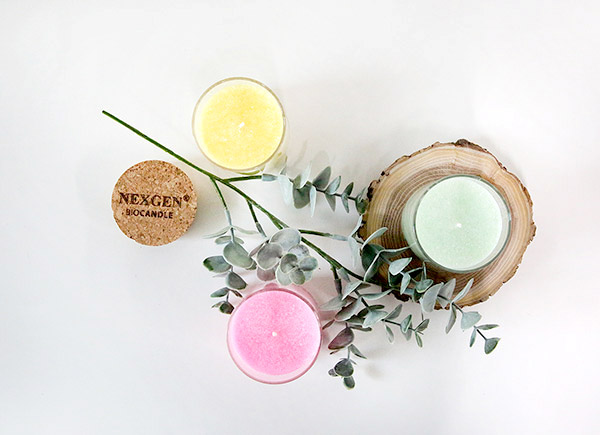 Anthurium Candle Natural Coconut Raw Yankee N3-CA0