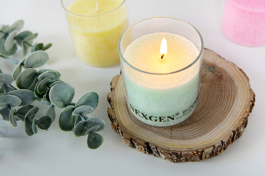 Anthurium Candle Natural Coconut Raw Yankee N3-CA0