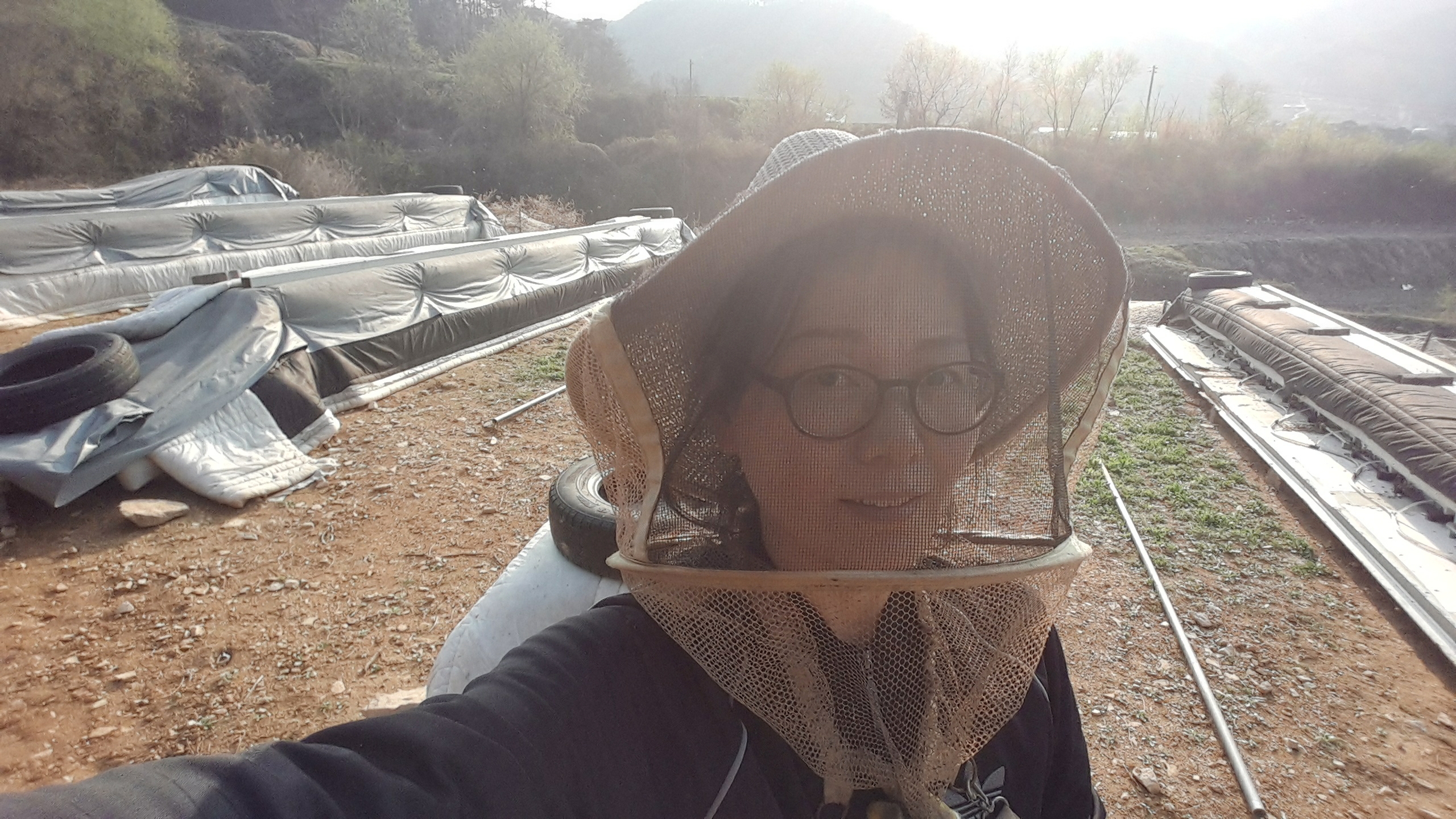 야생화꿀 다화꿀 잡화꿀 2.4kg 자연숙성 천연벌꿀 이미지 7