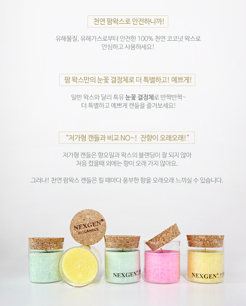 Anthurium Candle Natural Coconut Raw Yankee N3-CA0