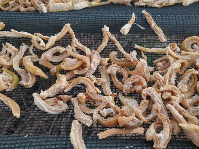 친환경 무우말랭이차 1kg 자연건조 이미지 6