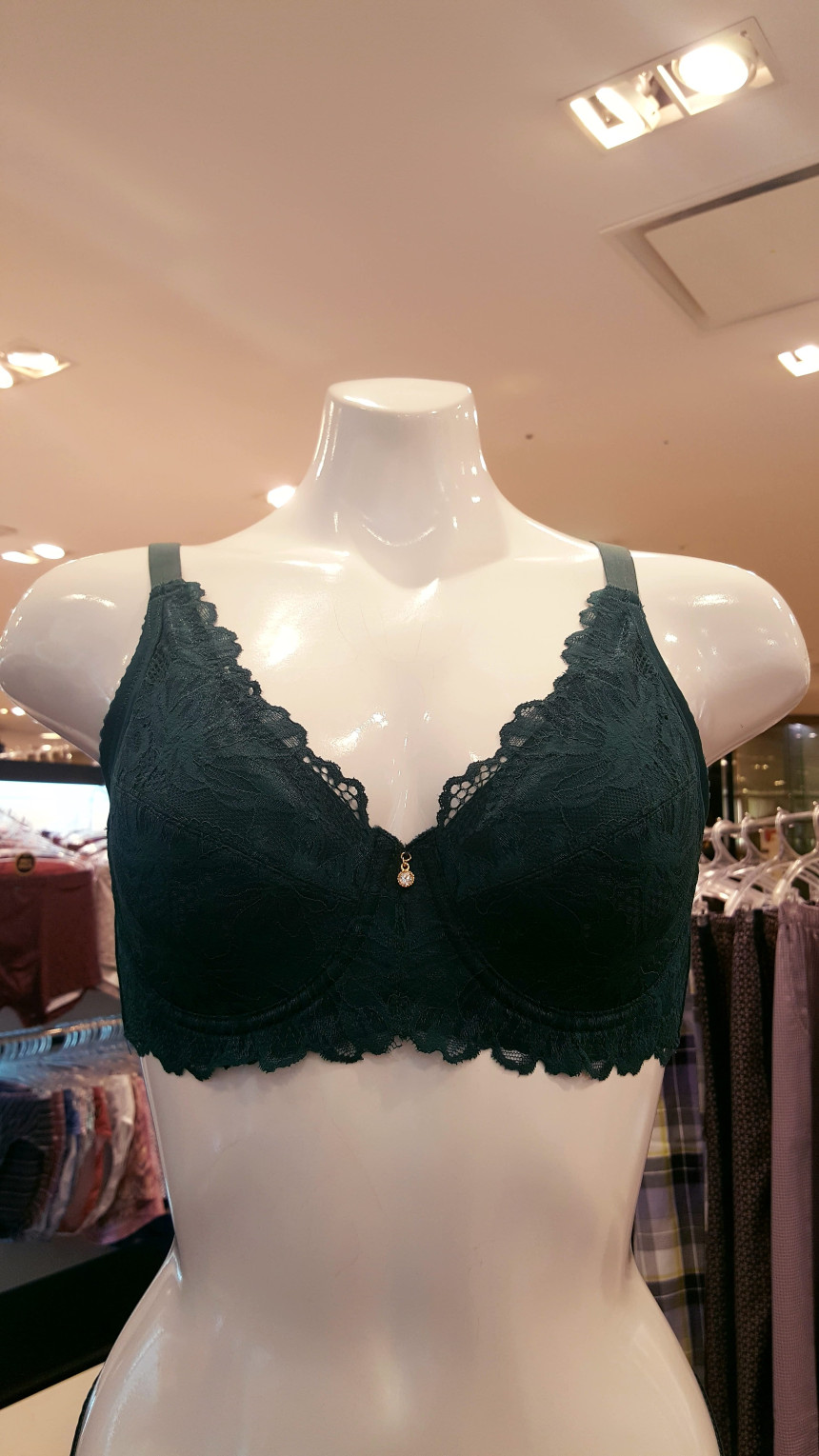 AK PLAZA Vivian Functional Big Size Nonwoven Bra B