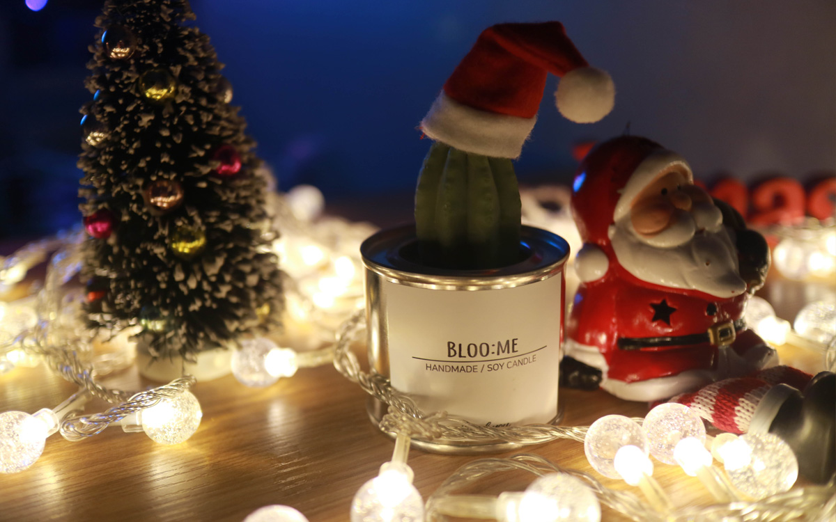 Christmas gift wrapping + cactus soi candle handma