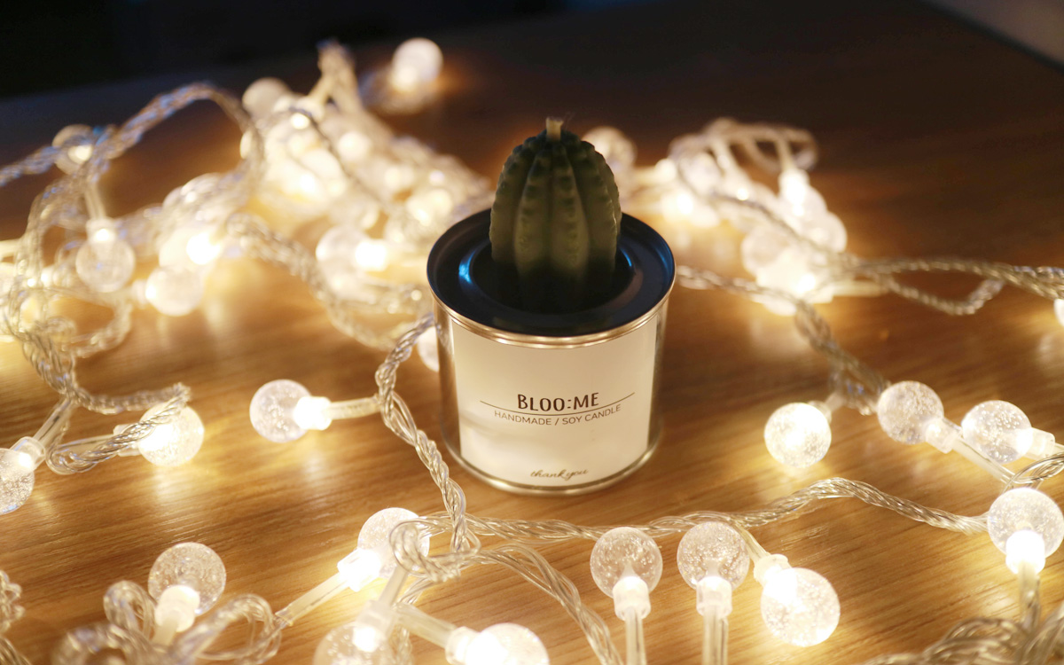 Cactus Cans Soya Candle + Free wrapping Handmade g