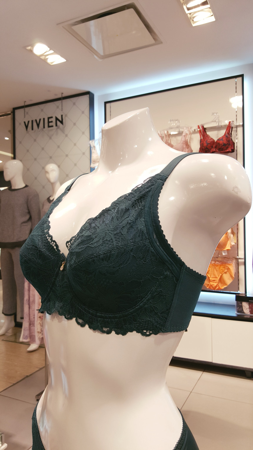 AK PLAZA Vivian Functional Big Size Nonwoven Bra B
