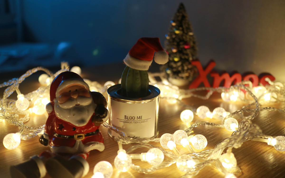 Christmas gift wrapping + cactus soi candle handma