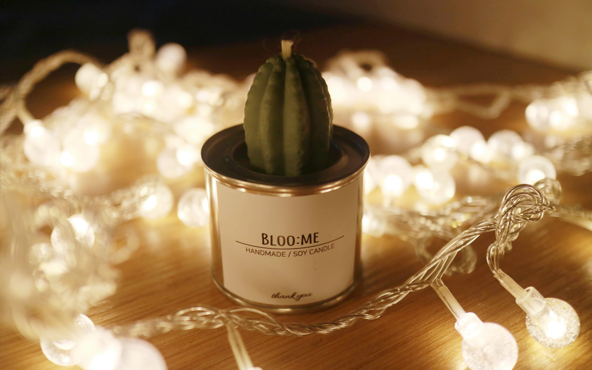 Cactus Cans Soya Candle + Free wrapping Handmade g