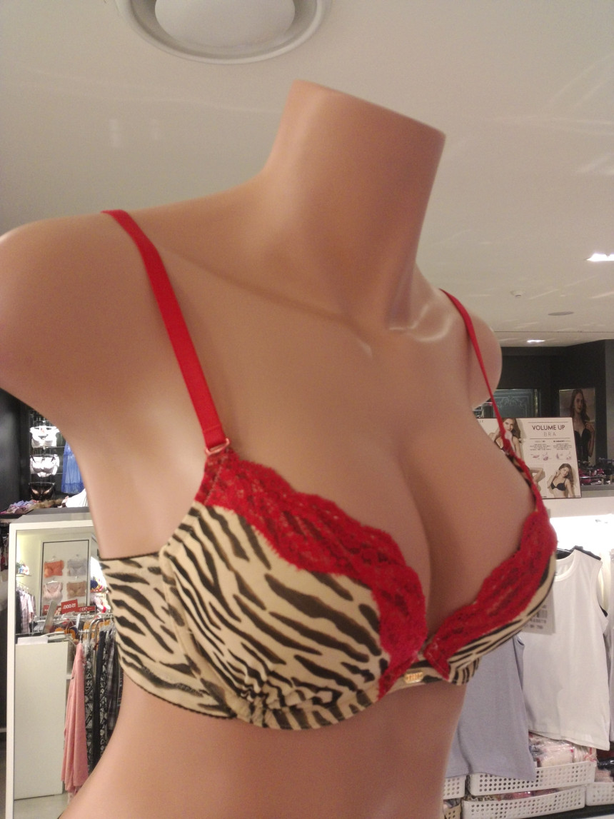 Elle Innerwear Red Hoppy Bra EPB2261