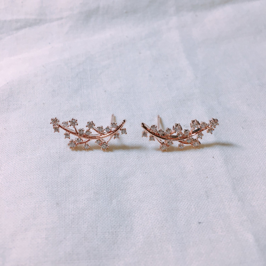 Lucerne Leaf Earrings LKJ0969 Cody Feminine Edge c