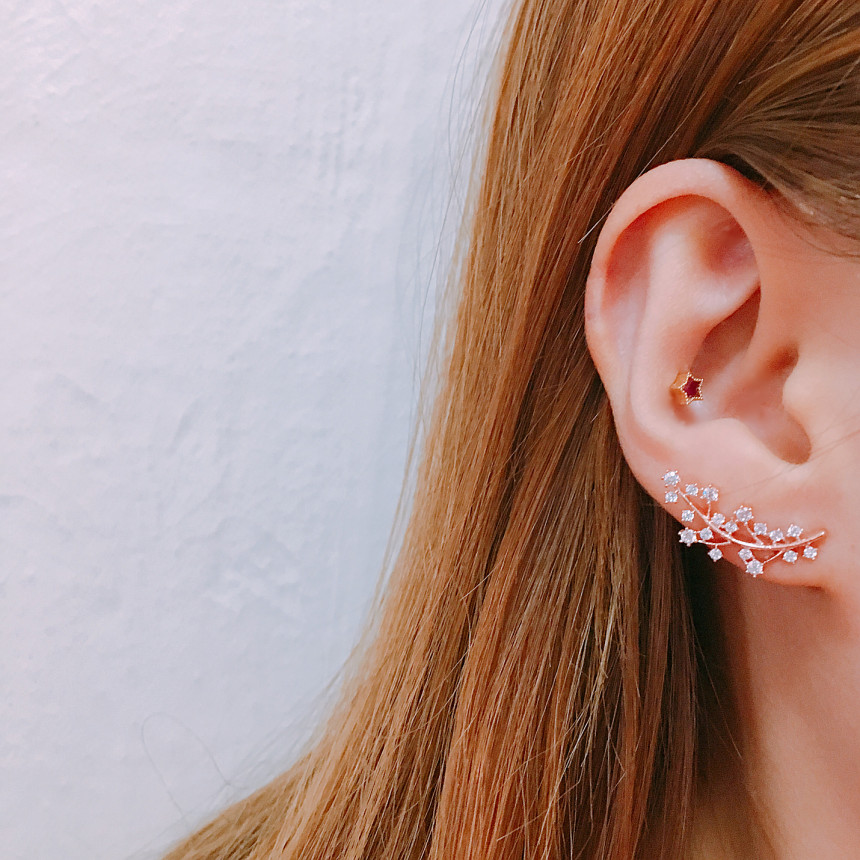 Lucerne Leaf Earrings LKJ0969 Cody Feminine Edge c