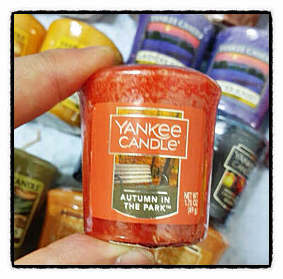 Yankee Candle Sampler Botevs Aptam In the Park yan