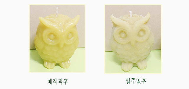 Daily Tea Light Natural Grapefruit Candle 33 Spher