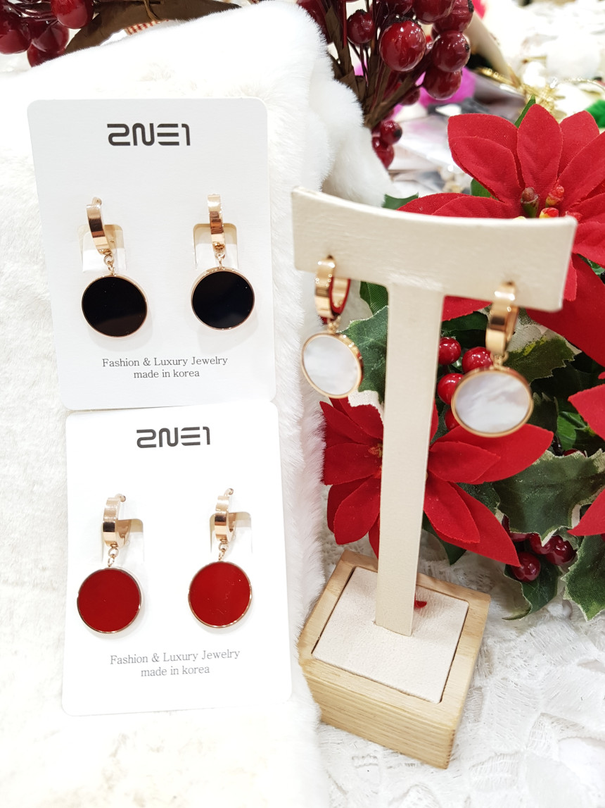 Titanium one-touch daily earrings