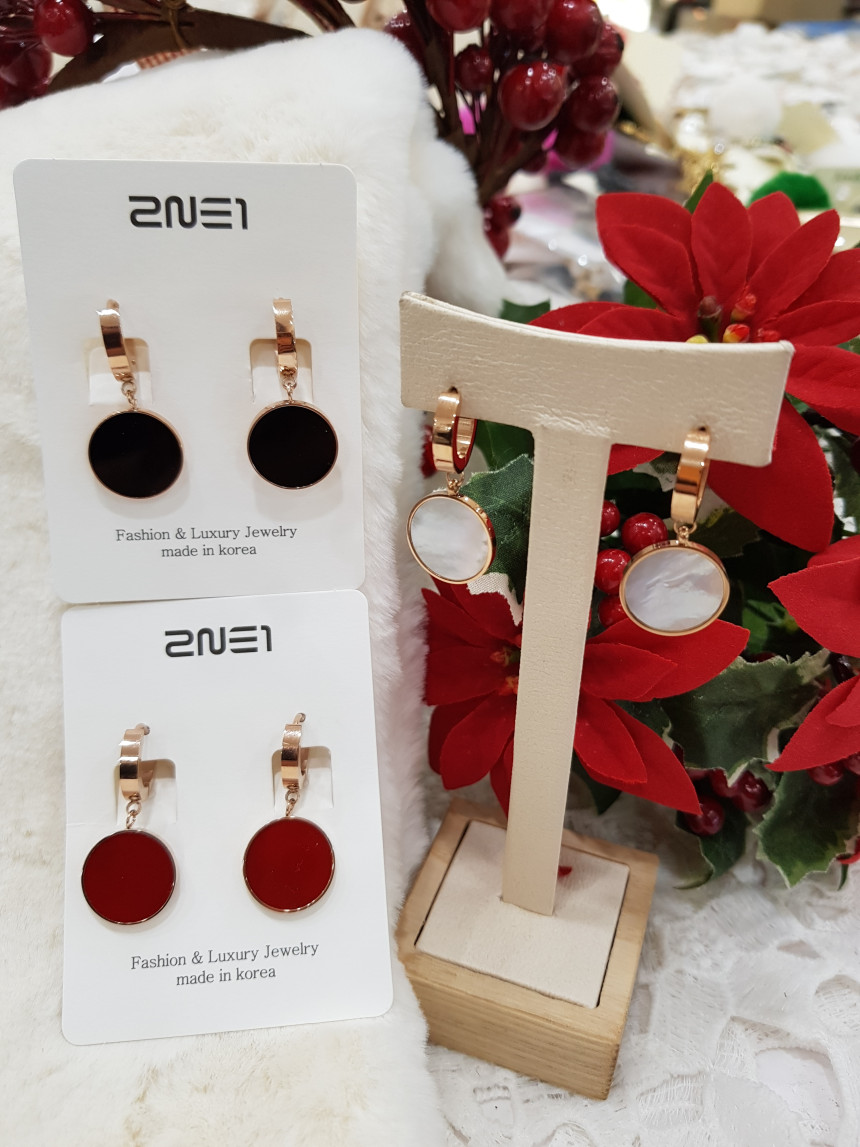 Titanium one-touch daily earrings