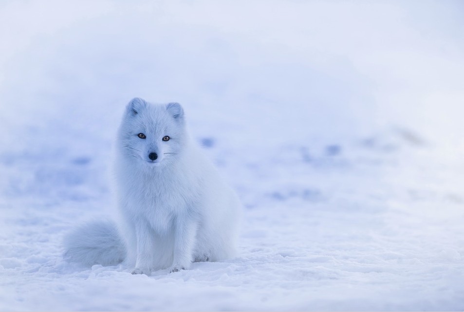 Water Washable USB Heat Insole Heated Foot Stove W