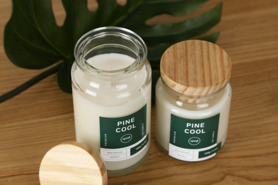 Ward Tool Design Tropic Candle High Quality Unique