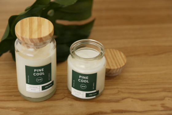 Ward Tool Design Tropic Candle High Quality Unique