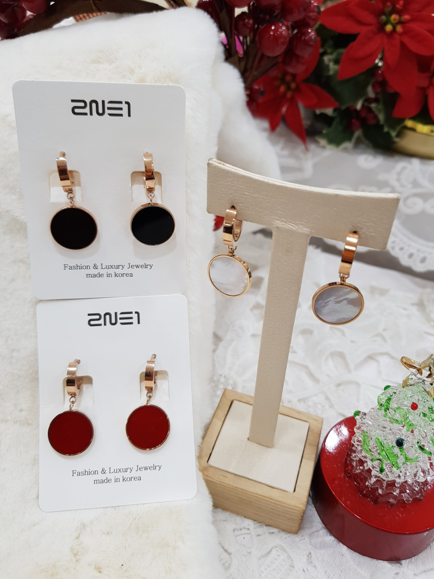 Titanium one-touch daily earrings