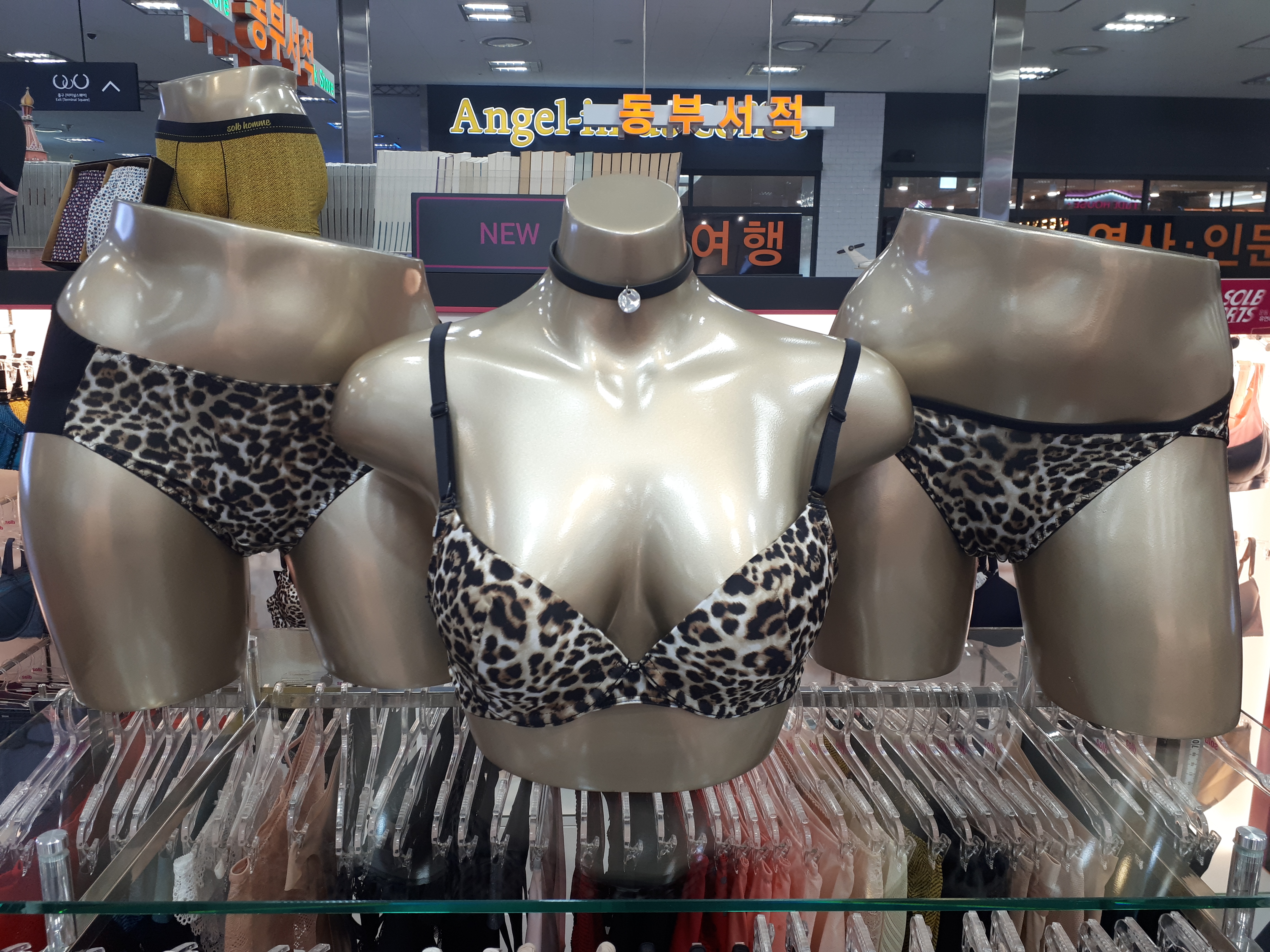 SOLB ★ Shinpokyupi bra A ~ C cup, D cup, E cup, 70