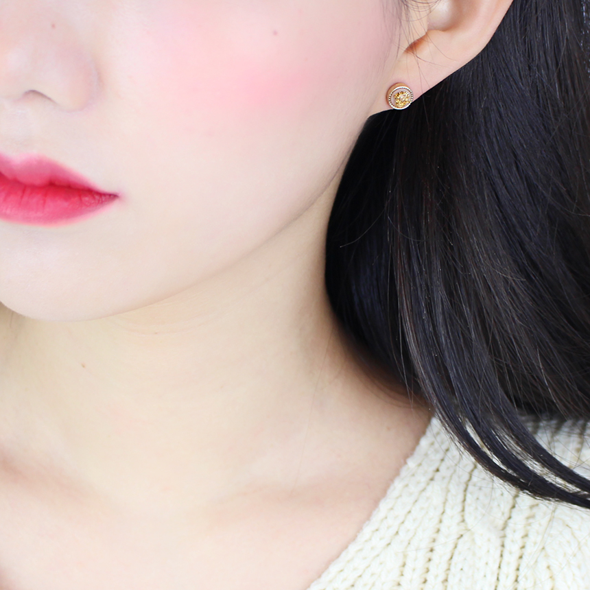 Titanium Earrings Set Collection Allergy Free Dail