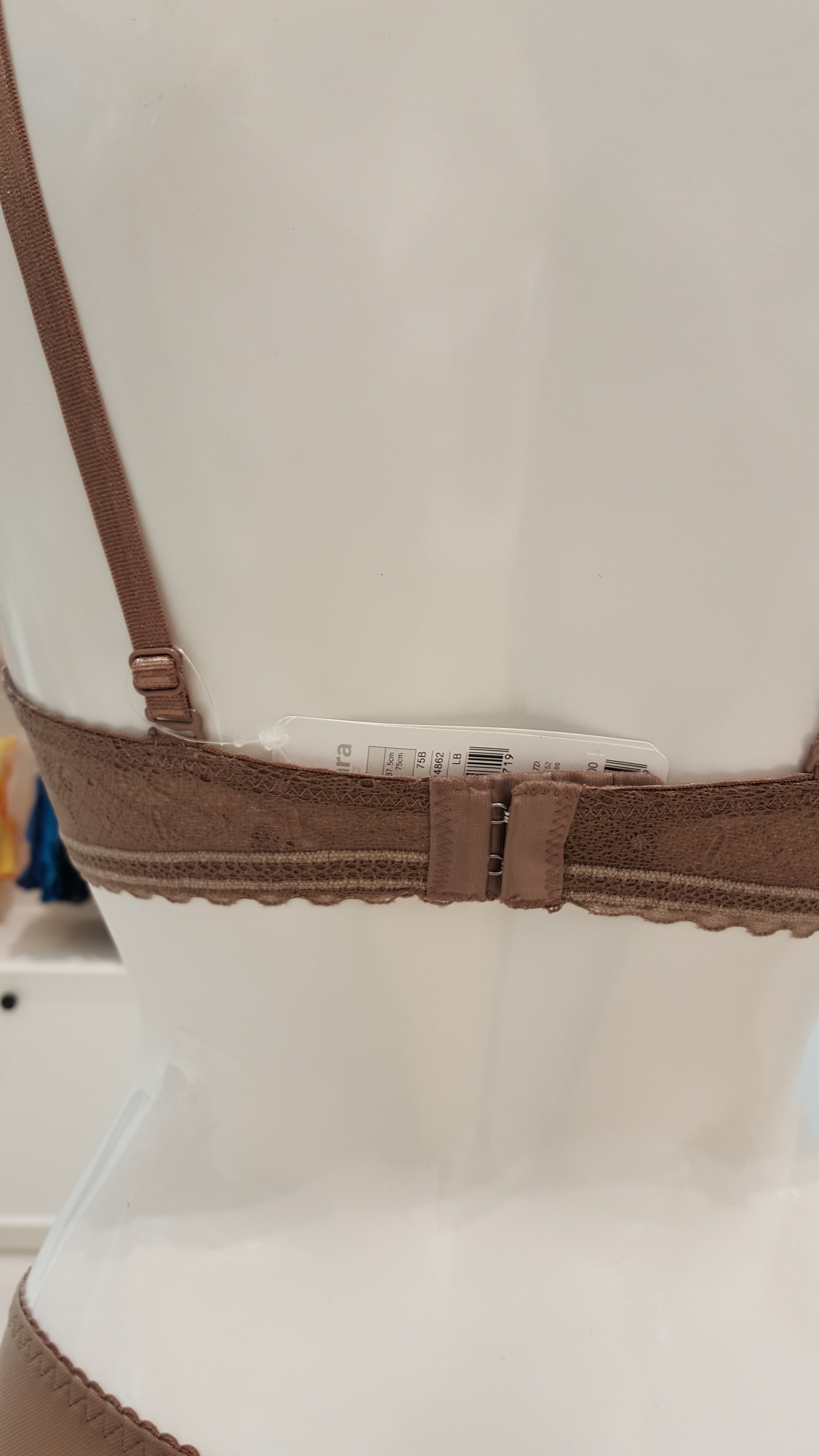 Barbara Epsilon Lace Mold Bra Set ABR4862 ABP4862 