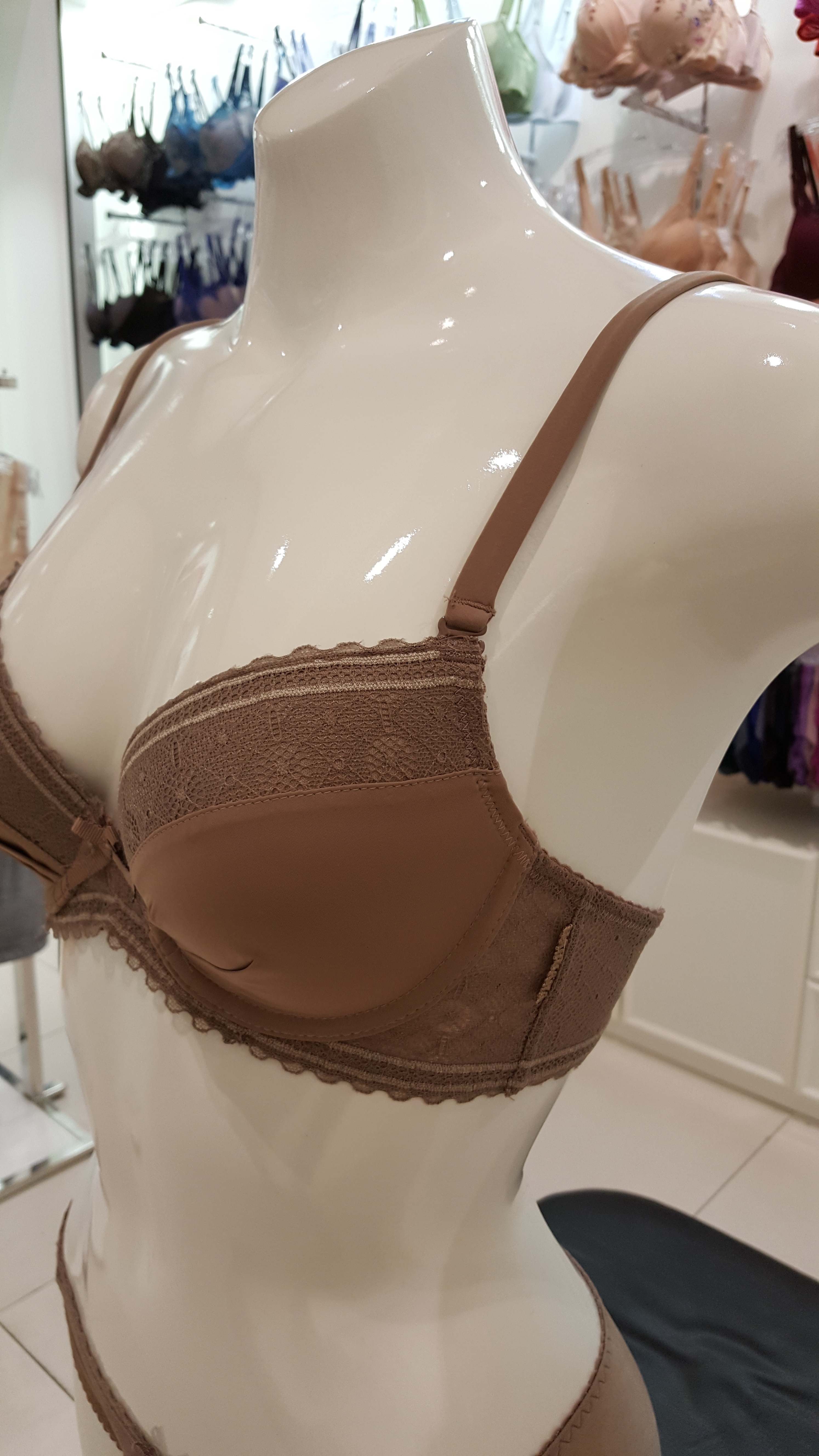 Barbara Epsilon Lace Mold Bra Set ABR4862 ABP4862 