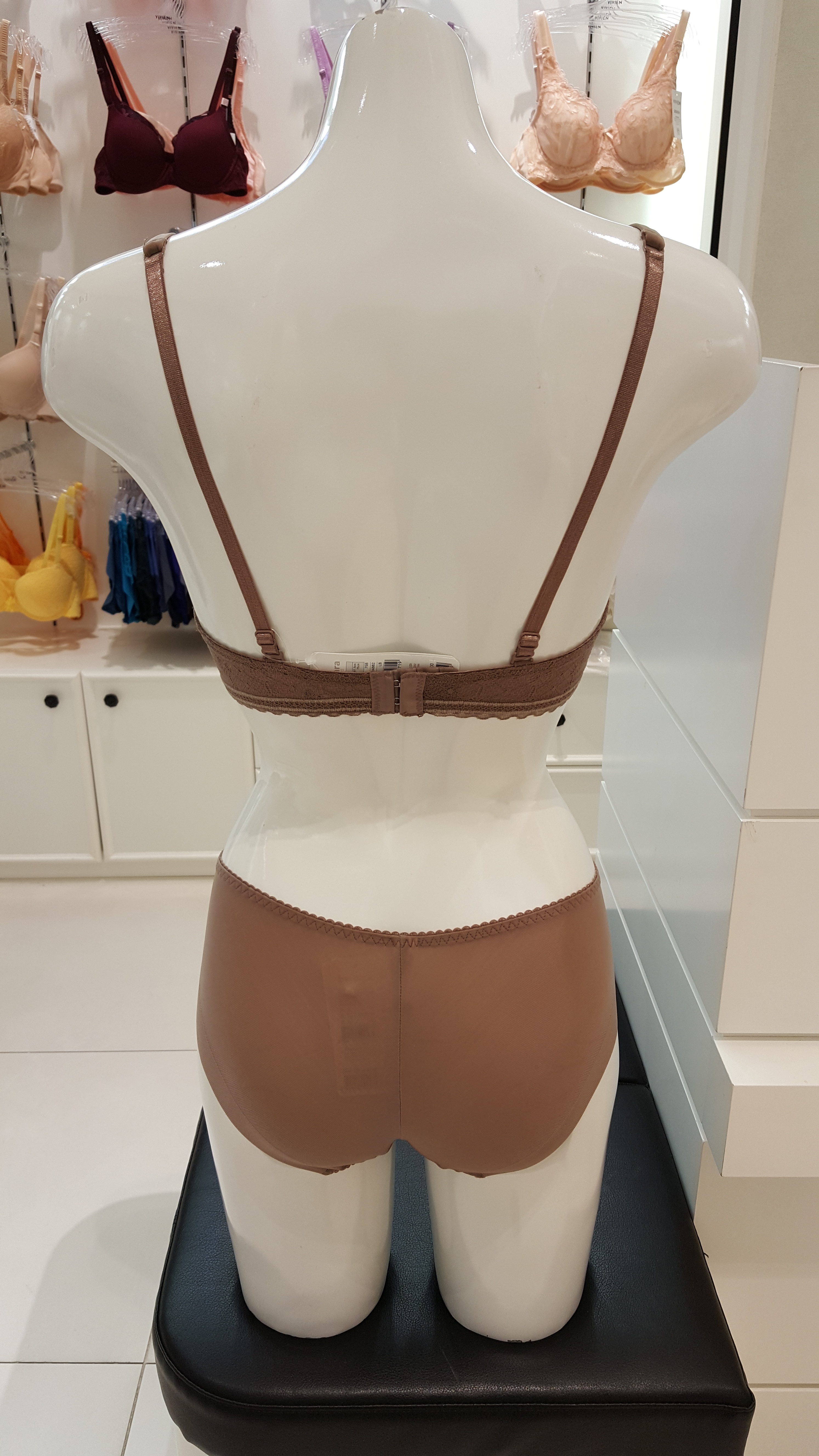 Barbara Epsilon Lace Mold Bra Set ABR4862 ABP4862 