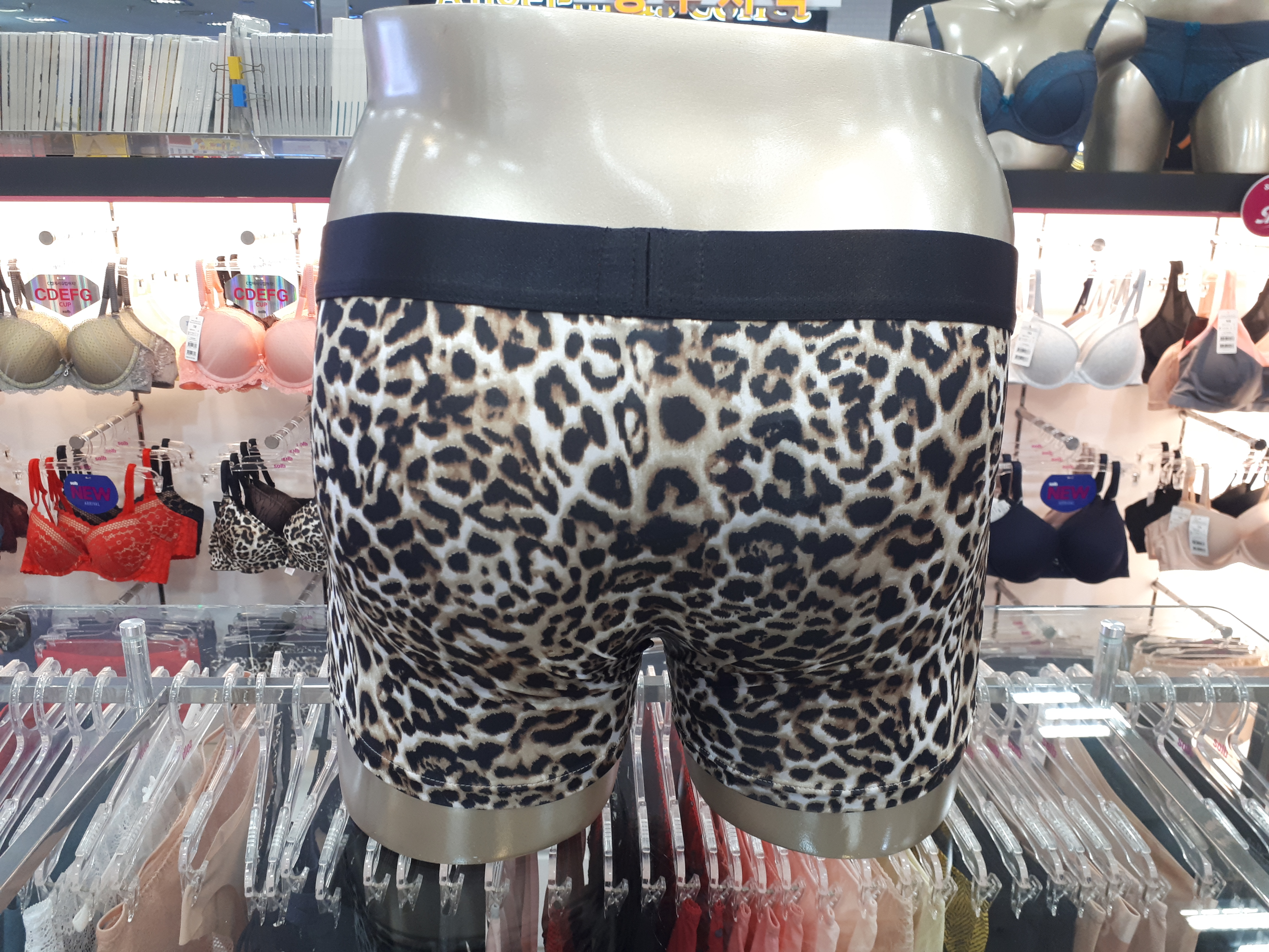 SOLB ★ Shinpokyupi bra A ~ C cup, D cup, E cup, 70