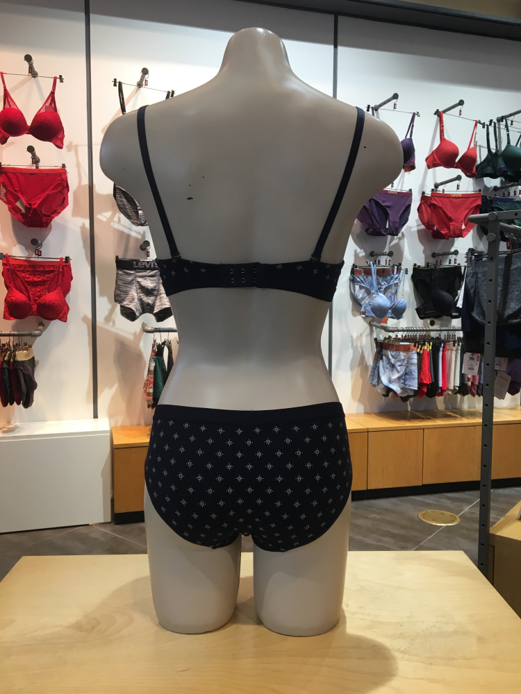 Levi's Bodyware Graphic Pattern Bra panties set