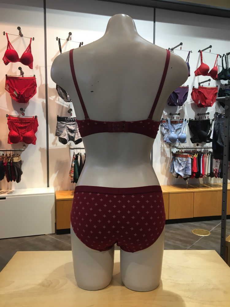 Levi's Bodyware Graphic Pattern Bra panties set
