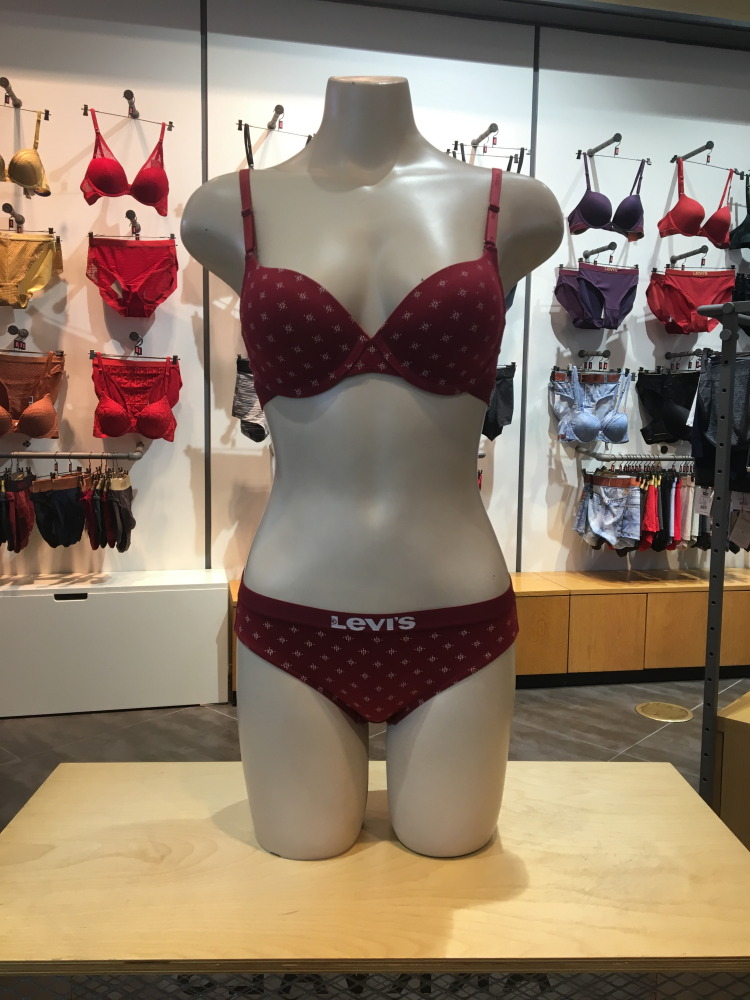 Levi's Bodyware Graphic Pattern Bra panties set