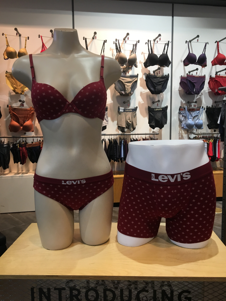 Levi's Bodyware Graphic Pattern Bra panties set