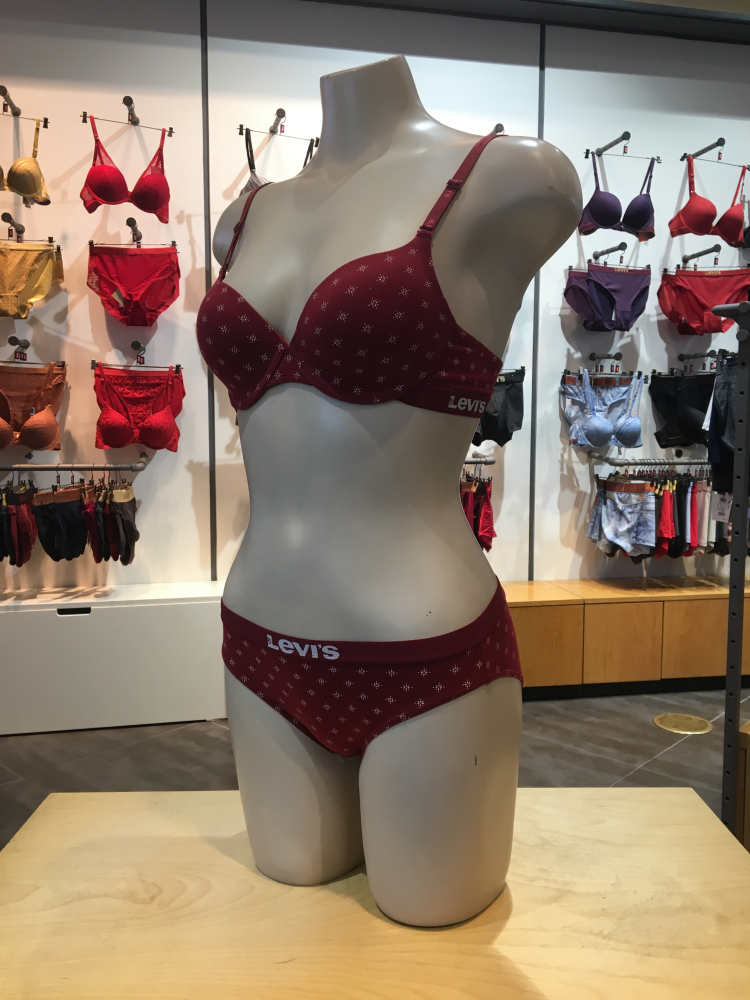 Levi's Bodyware Graphic Pattern Bra panties set