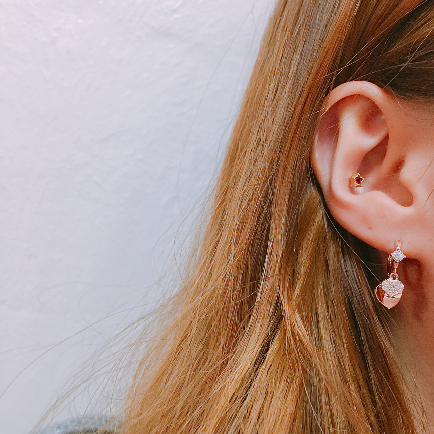 Lucerne Two-Heart One-Touch Earrings LKJ0983