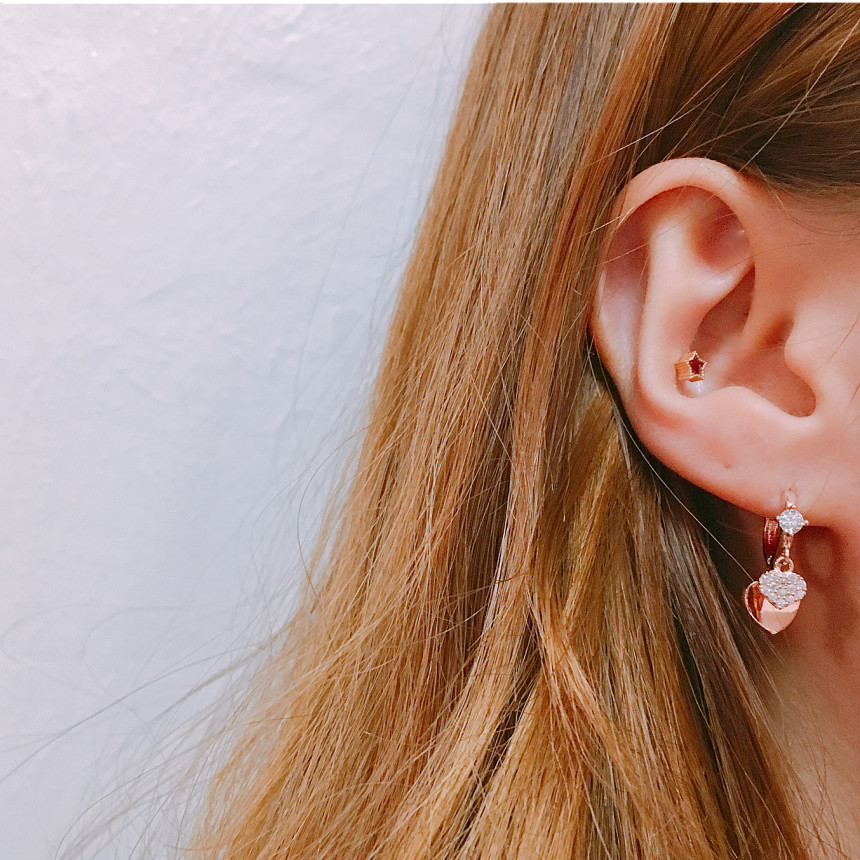 Lucerne Two-Heart One-Touch Earrings LKJ0983