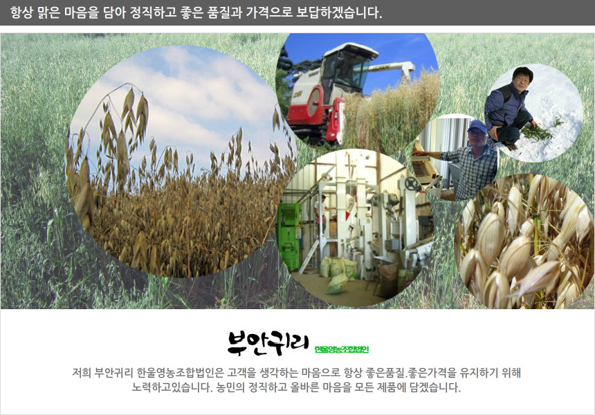 <b><p>Oat flour Korean Zipper pack Ping T Bu Hlthy</p></b><b><p>オートミール 韓国語 ジポペク 包装 ミスト 扶安 健康食 線 おやつ</p></b><br /><br /><p align='center'>