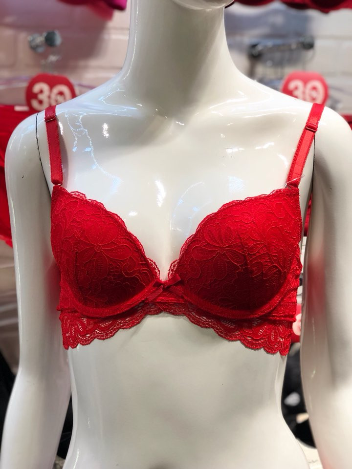 Eleanor Red Flower Lace Bra EPB2403 Female 50s Hea