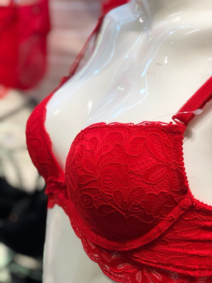 Eleanor Red Flower Lace Bra EPB2403 Female 50s Hea